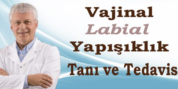 Vajinal – Labial Yapışıklık
