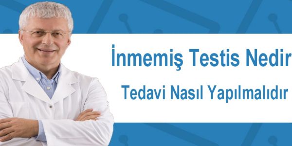 İnmemiş Testis