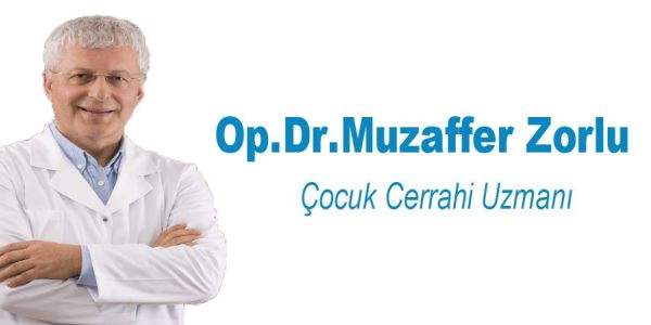 muzaffer zorlu 1