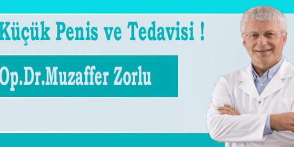 &Ccedil;ocuklarda K&uuml;&ccedil;&uuml;k penis