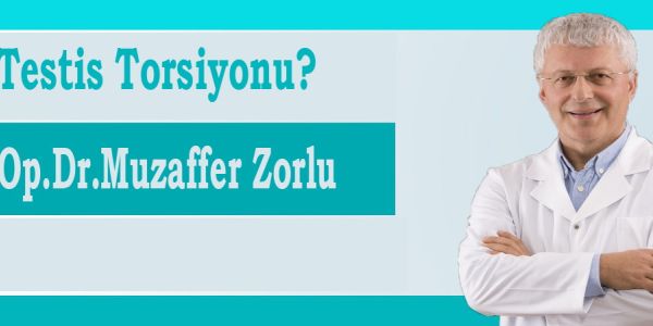 Testis torsiyonu (testis d&ouml;nmesi)
