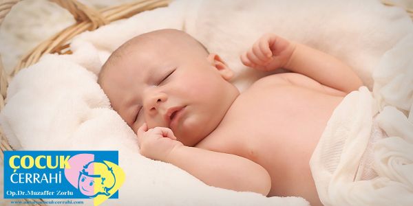 bebek sunneti