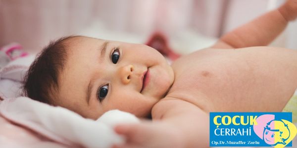 S&uuml;nnetin Faydaları Nelerdir?